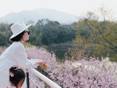 -福建鲤鱼洲酒店