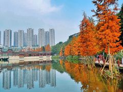 -重庆彩云湖湿地公园