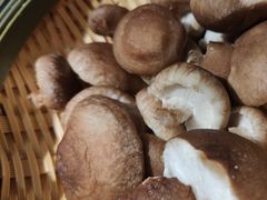 -捞王猪肚鸡火锅(昆山店)