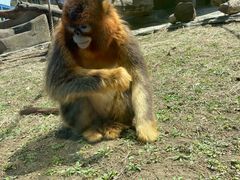 -大连森林动物园