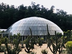 -深圳仙湖植物园