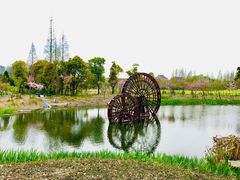 -长田漾湿地公园