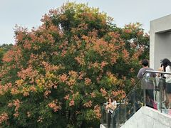 -武汉荟聚
