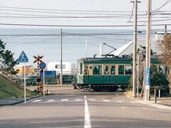 -秀丽东方