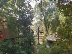-WeLope紫金山探险公园