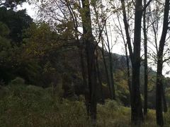 -玉华宫景区