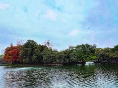 -荔湾湖公园