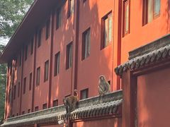 -黔灵山公园