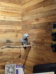 -Zoolung Zoolung动物主题公园(海信广场店)