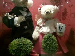 android_upload_pic-济州岛泰迪熊博物馆