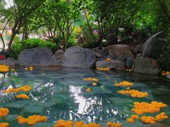 -湖泉半山温泉