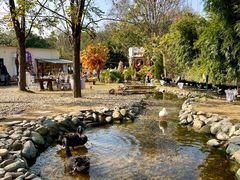 -HERRE·FARM 赫尔露营农场·团建聚会包场