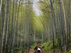 -五泄景区