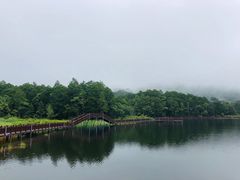 -海南热带雨林国家公园吊罗山景区
