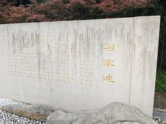 -习家池