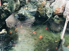-利群海琴购物广场(商丘路店)