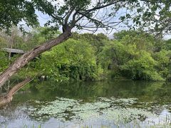 -Pita's&Tika's中东和印度风味餐厅(龙湖天街店)