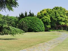 -上海滨江森林公园