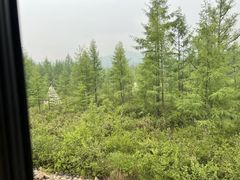 -莫尔道嘎国家森林公园