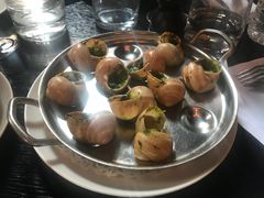 -金蜗牛