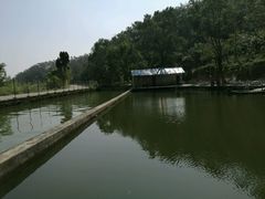 -水库河鲜村