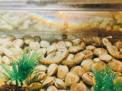 -V-ONE西雅图海鲜自助餐厅(仓山万达广场店)