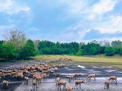 -溱湖国家湿地公园