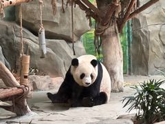 -灵玲国际马戏城