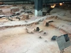 -南越王博物院(王宫展区)