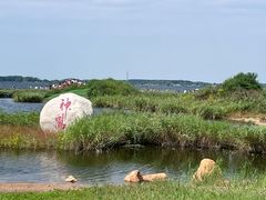 -黑龙江扎龙生态旅游区