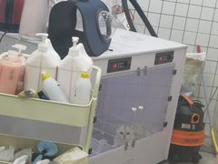 -猫力发电所·宠物专门店