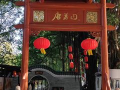 -侨美·唐荔园·40年地道粤菜