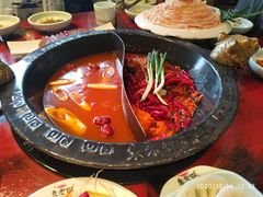 -袁老四重庆老火锅(桐梓坡店)