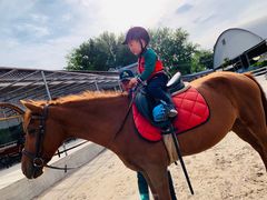 -月河湾马术俱乐部(朝阳店)