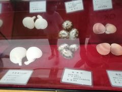 -贝壳王国博物馆