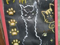 -猫色咖啡·猫咖