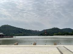 -顺峰山公园
