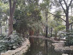 -成都市活水公园