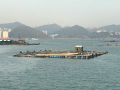 -南丫岛