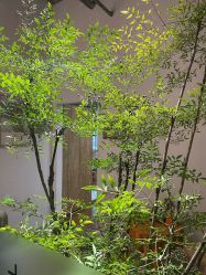 点击看大图 -Y+U遇瑜伽·普拉提