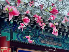-潭柘寺景区
