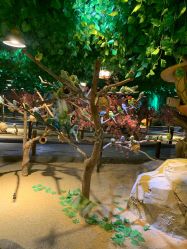 -酷嗒动物文化乐园(cutezoo西溪乐天城店)