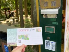 -上海醉白池公园