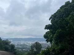 -火炉山森林公园