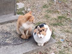 -东华大学第一食堂(松江校区店)