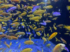 -成都浩海立方海洋公园