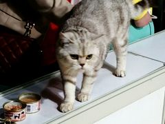 android_upload_pic-东浩兰生上海世博展览馆