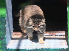 -青藏高原野生动物园