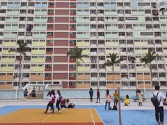 -彩虹村