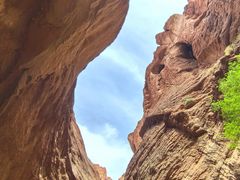 -天山神秘大峡谷